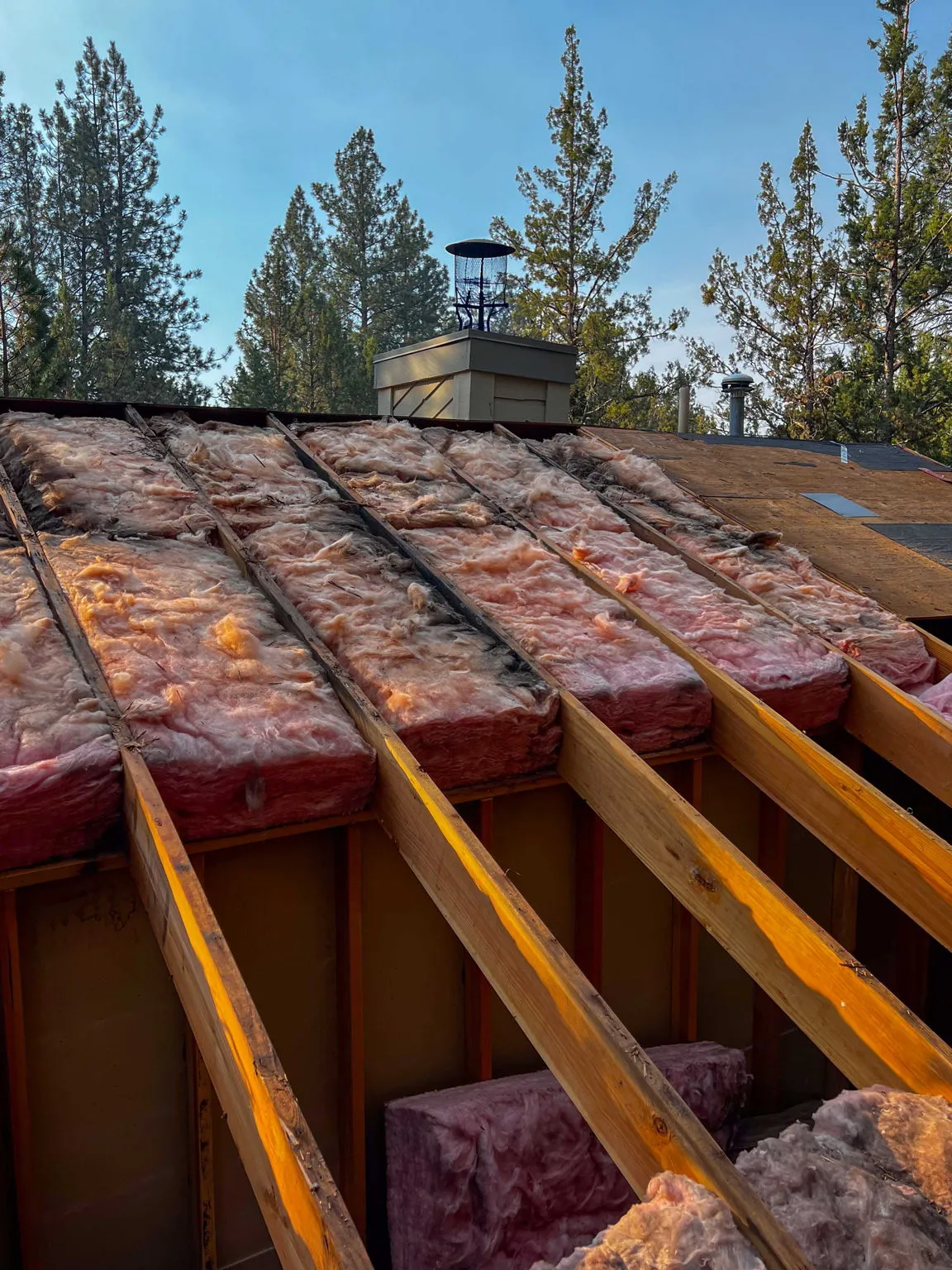 Deteriorated insulation pulled from between the roof rafters
