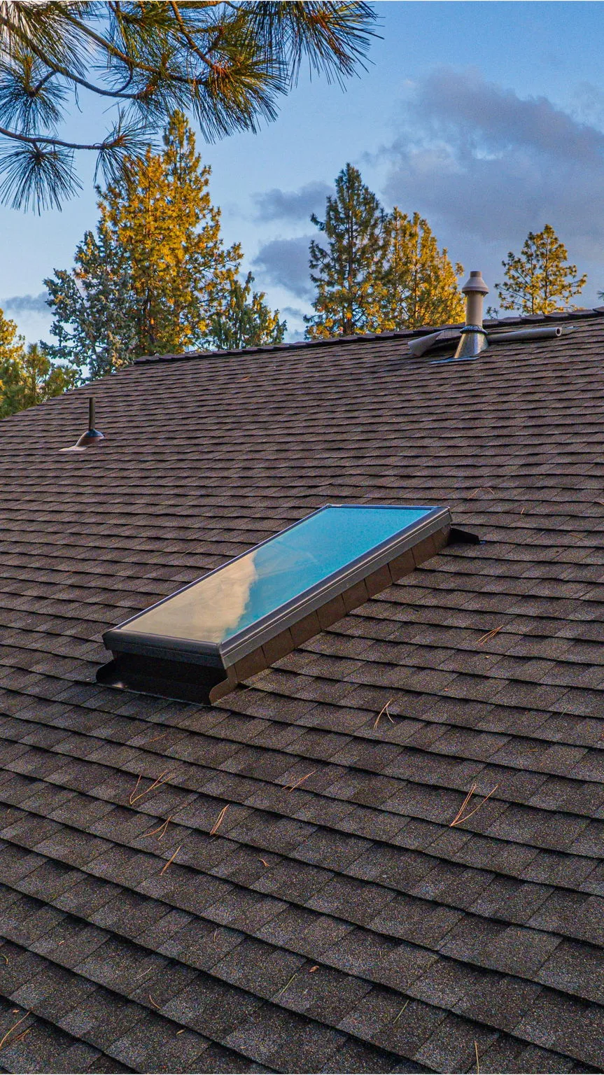 Skylight and roof vents on the completed shingle field