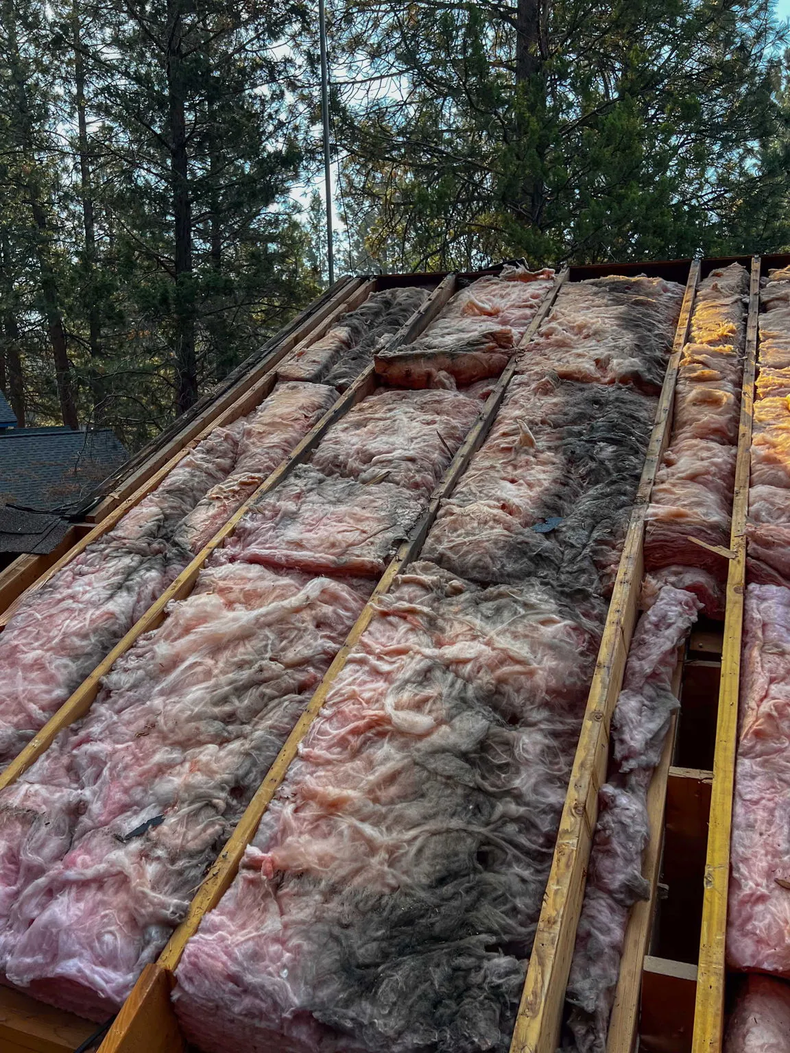 New batt insulation laid between rafters during a roof and insulation replacement