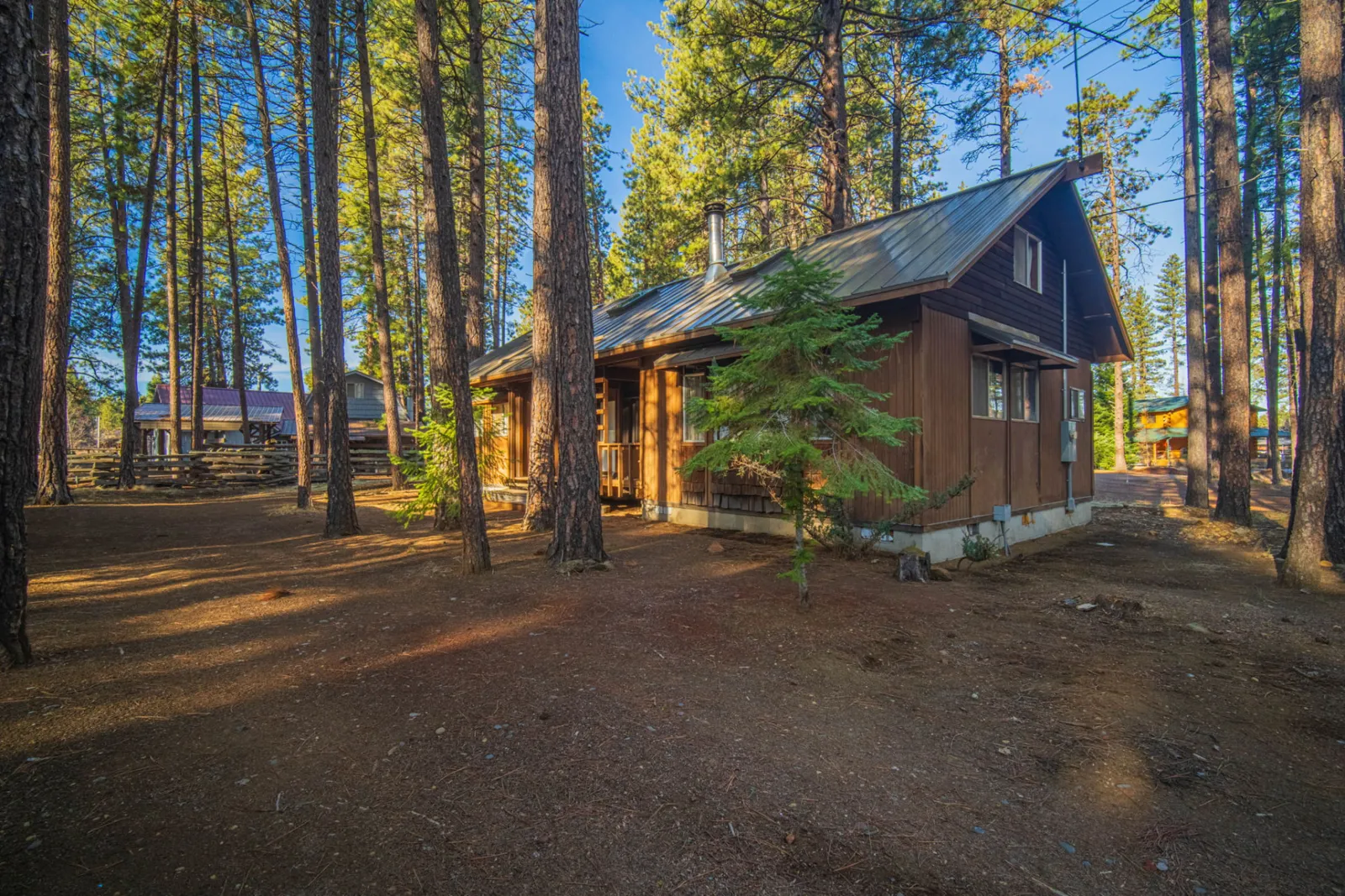 Forest home with a freshly finished roof under tall pines in Central Oregon