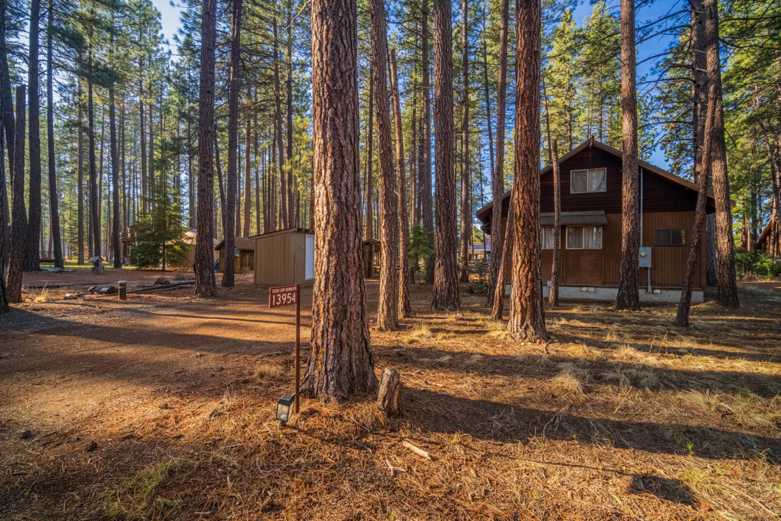 Home with a dark roof set among tall ponderosa pines in Central Oregon