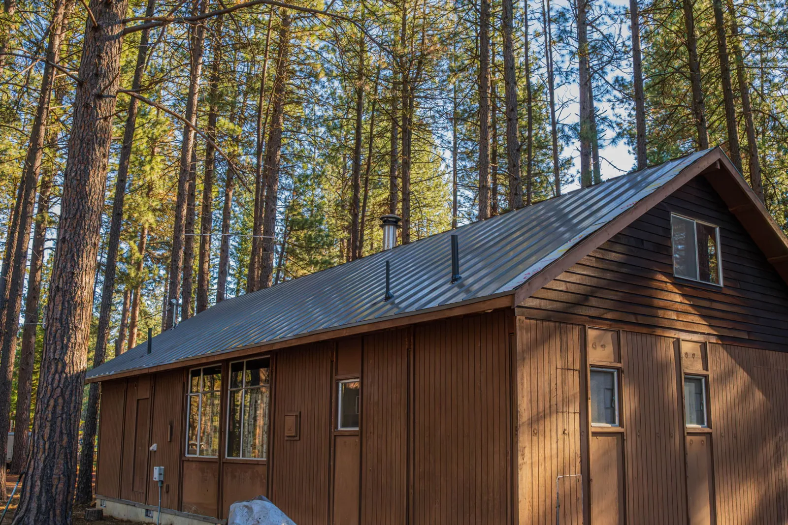 Cedar-sided home with a finished standing seam metal roof surrounded by ponderosa pines